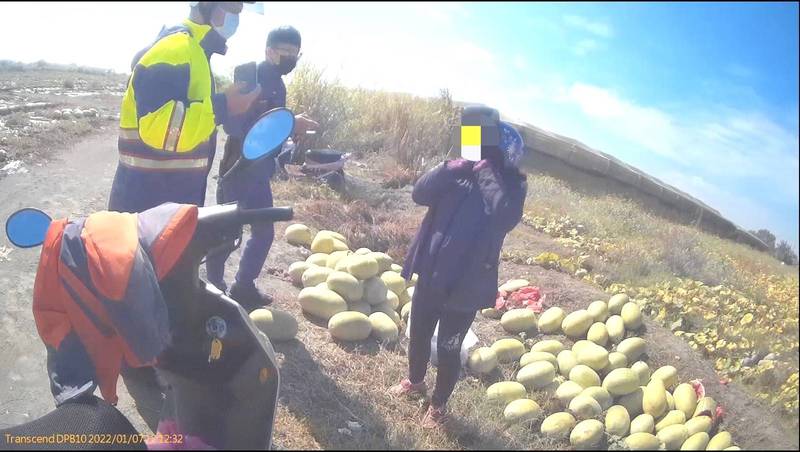 女竊嫌偷南瓜被農民及警方當場逮獲。（屏東警方提供）