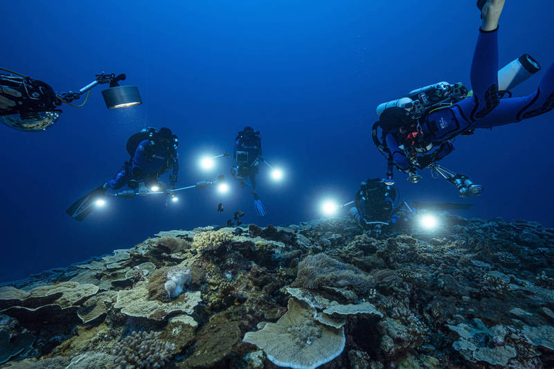 联合国教科文组织形容这片珊瑚礁是「有记录以来最健康」的一处珊瑚礁。（美联社）(photo:LTN)