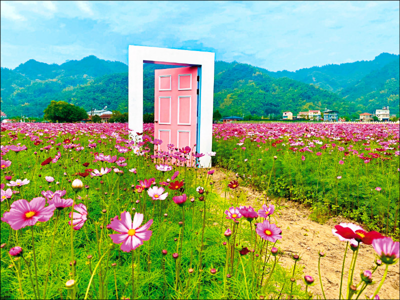 「愛在美濃花開時」規劃裝置藝術。（美濃區公所提供）