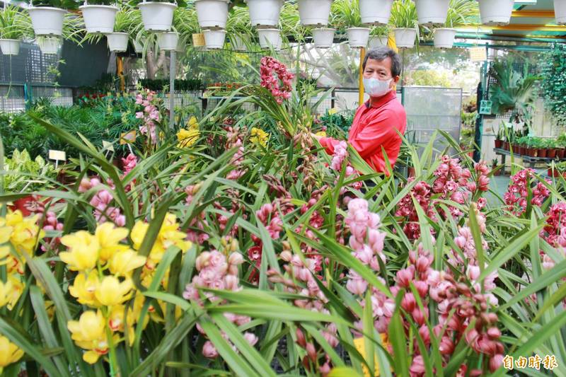 適逢生肖虎年，開運吉祥花「虎頭蘭」大受消費市場歡迎。（記者陳冠備攝）