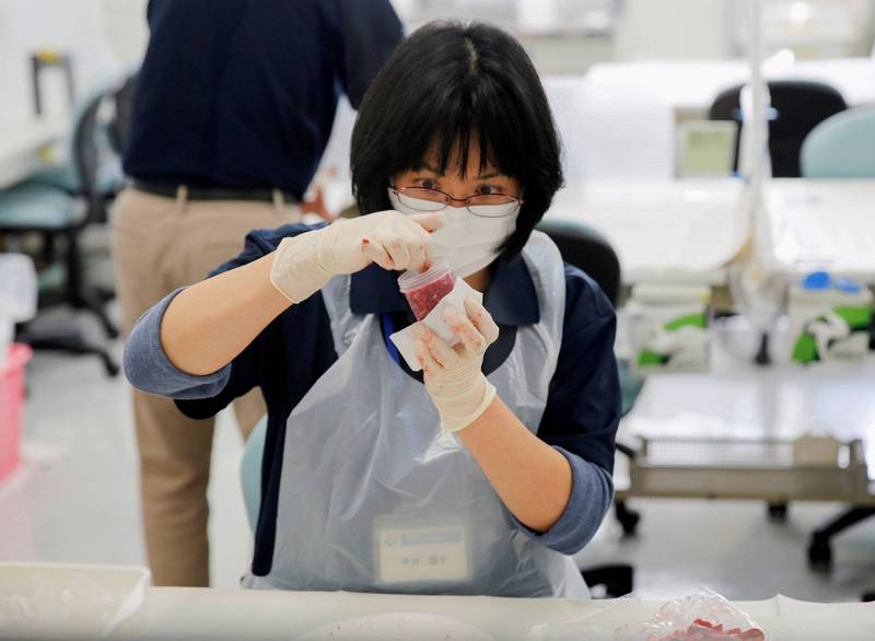 行政院今天宣布日本福島、茨城、櫪木、群馬與千葉5縣食品將正式解禁，也可能連帶影響南韓隊福島食品的政策；圖為福島農技中心人員正檢驗當地牛隻的肉品樣本。（路透）