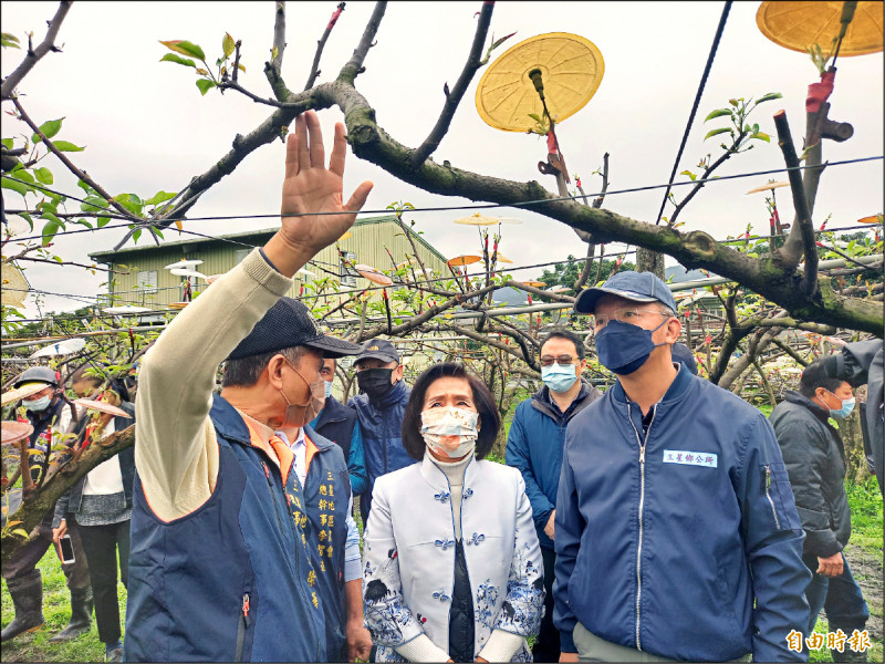 宜蘭縣三星上將梨嫁接期間適逢低溫遭遇嚴重寒害，縣長林姿妙（前排中）下鄉勘災。（記者江志雄攝）