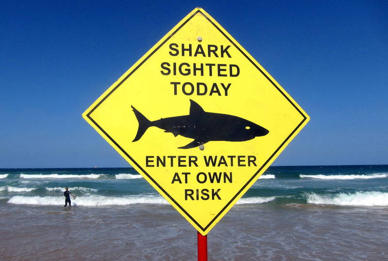 澳洲大城雪梨东南部海滩今（16）日下午发生鲨鱼吃人事件。（路透）(photo:LTN)