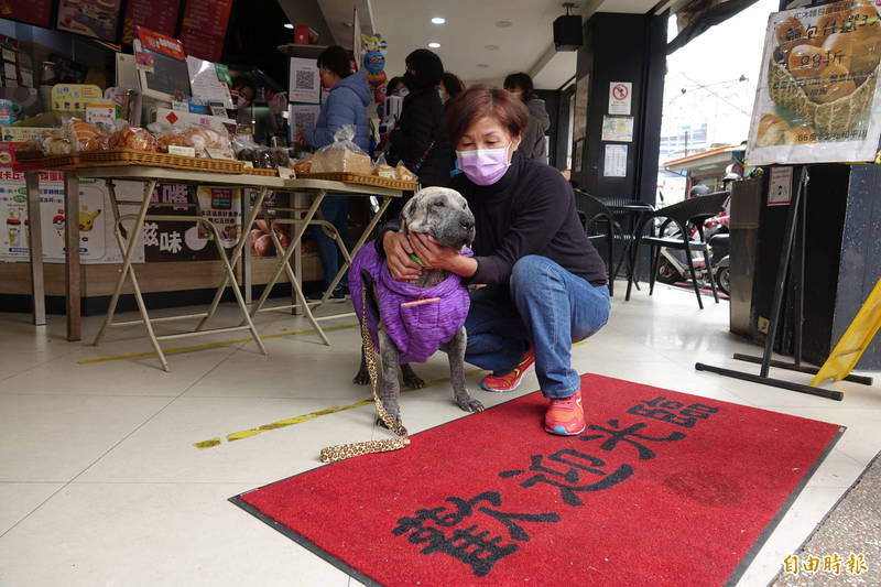 「老皮」最愛在歡迎光臨的紅毯上躺著，愛狗人士「白鷺鷥」見到「老皮」回來了，開心極了。（記者劉曉欣攝）