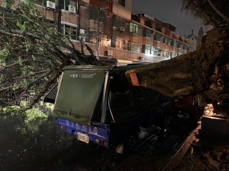 小貨車遭倒塌的路樹砸中。（民眾提供）