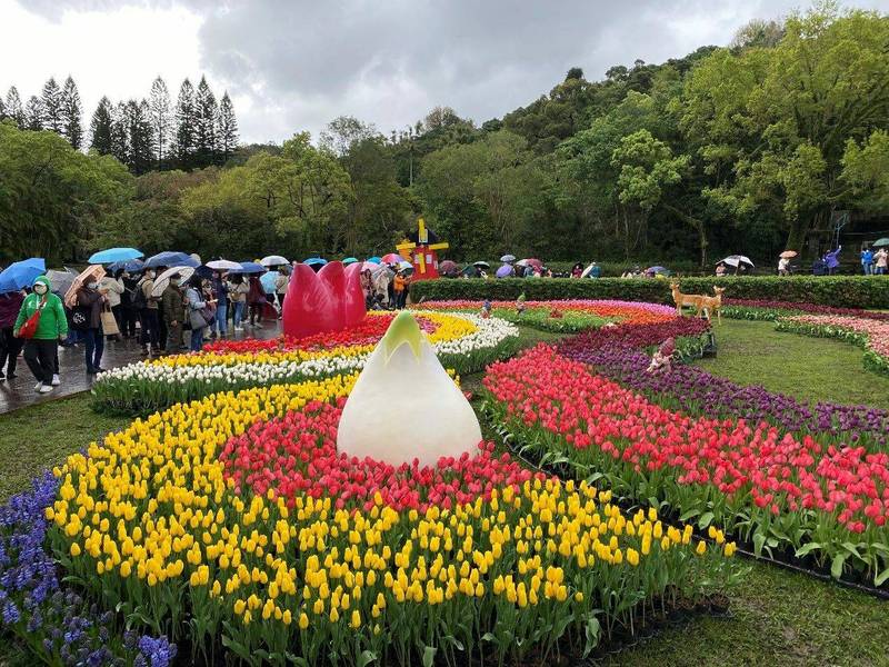 台北市士林官邸鬱金香展今年以「遇見幸福」為主題，使用13萬株鬱金香打造童話世界，展到2月28日。（台北市公園處提供）