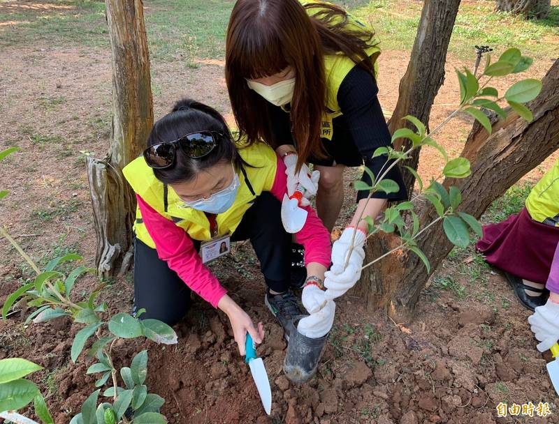 台中區監理所結合台中市農業局，3月11日在監理所贈送500株樹苗。（記者陳建志攝）