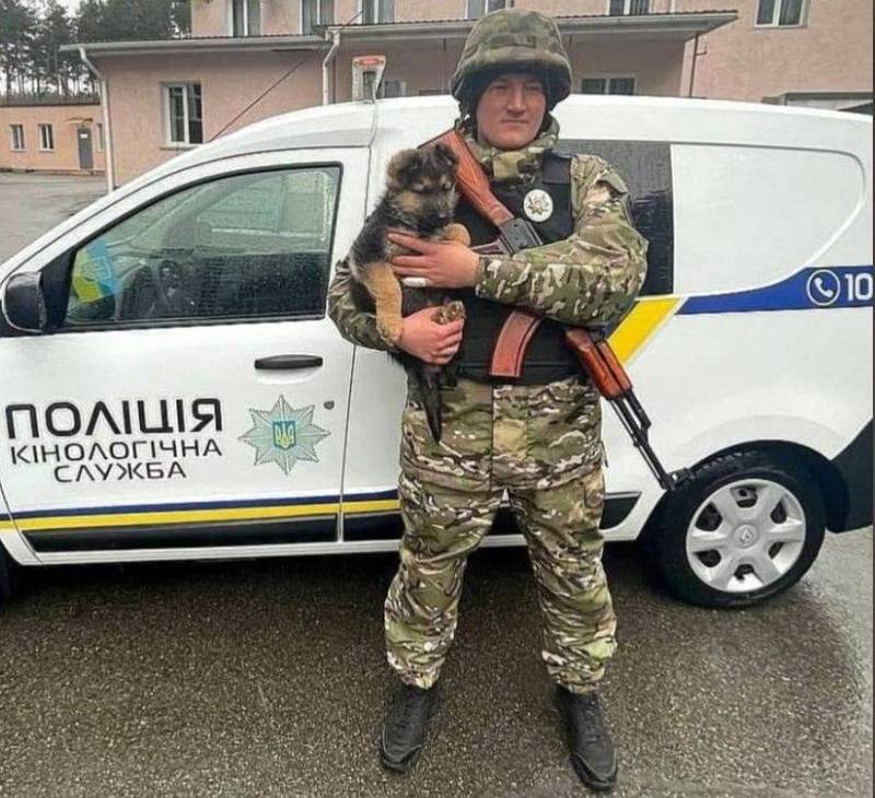 一只正在基辅地区警犬训练中心「工作」名叫拜拉克塔（Bayraktar）的警犬，近日成为当地警方与士兵的好伙伴。（图取自乌克兰外交部推特）(photo:LTN)