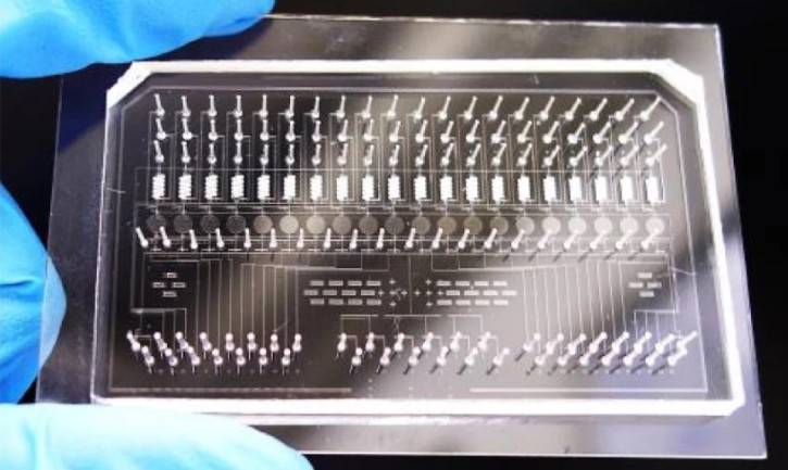 中研院化学所助研究员涂熊林与特聘研究员陈玉如团队开发新颖晶片，并结合质谱导航技术，突破现今蛋白质体分析技术，一站式就可完成。（中研院化学所提供）(photo:LTN)