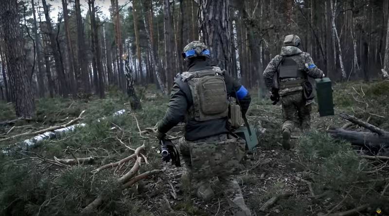 乌克兰国防情报机构今（15）日揭露，俄国原计划大规模砍伐乌克兰的森林，再将原木运回俄国贩售以支付军费。图为乌军穿越森林，示意图。（路透档案照）(photo:LTN)