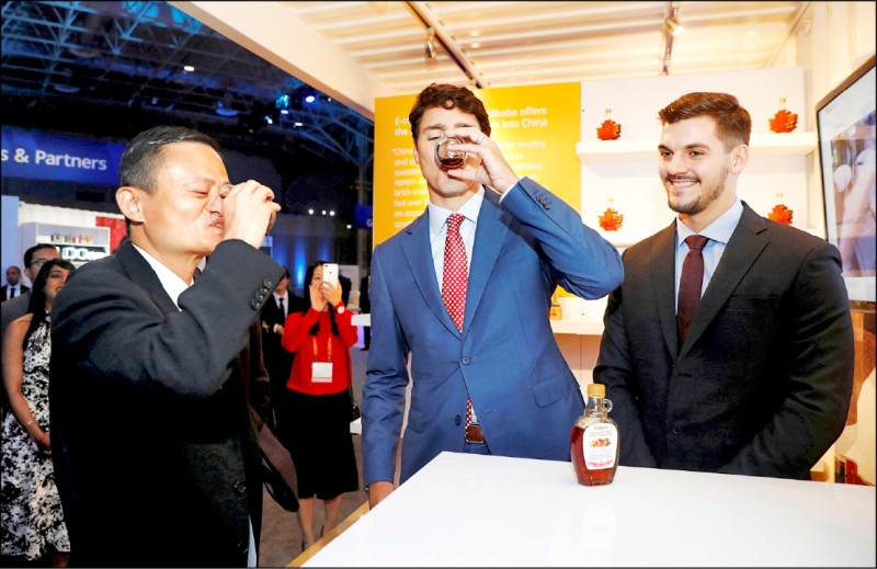 加拿大總理杜魯道（中）和中國阿里巴巴集團創辦人馬雲（左）2017年曾一起品嚐楓糖漿。（路透檔案照）