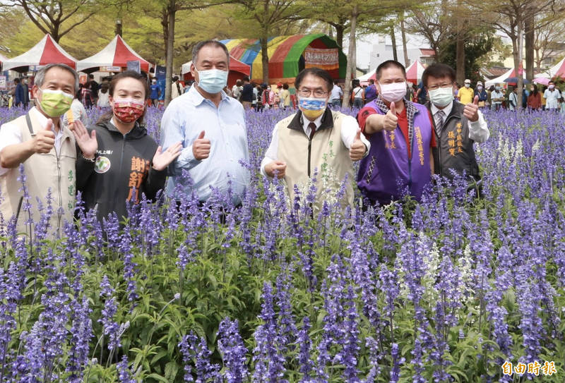 台南市長黃偉哲也在粉萼鼠尾草花海中拍照為學甲蜀葵花節宣傳。（記者楊金城攝）