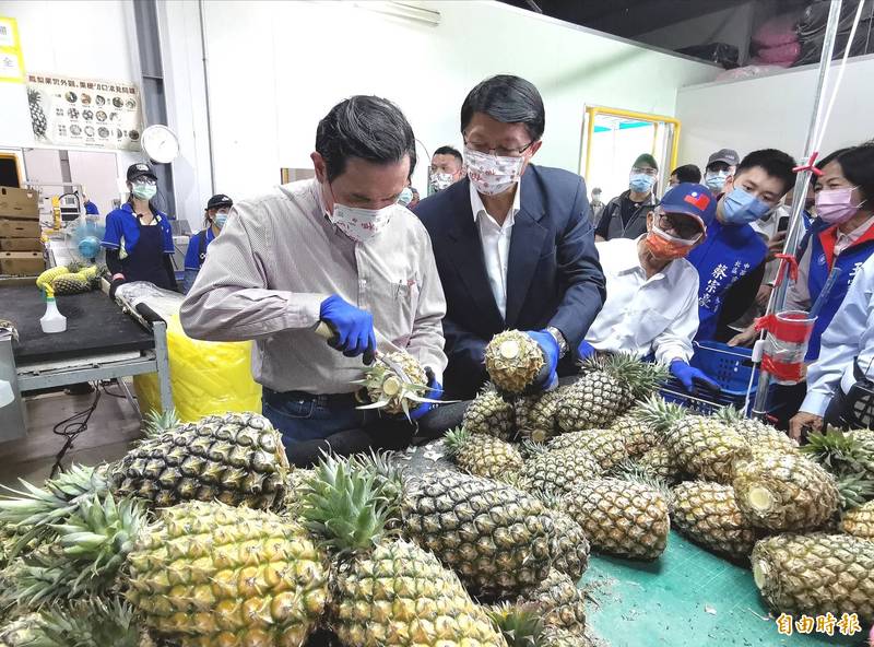 馬英九今天到台南楠西福農果菜運銷合作社參觀鳳梨出口作業，謝龍介全程陪同。（記者吳俊鋒攝）