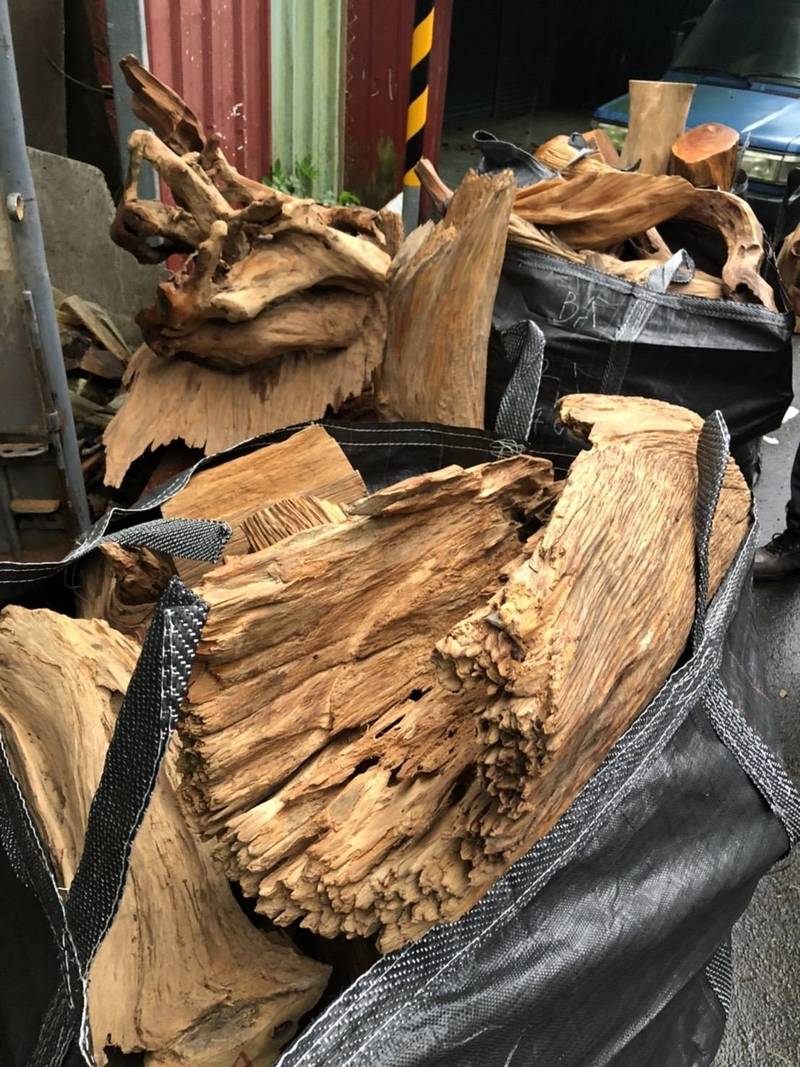 宜蘭地檢署指揮偵辦「滅鼠專案」，共查獲11噸被盜伐的貴重木。（記者江志雄翻攝）