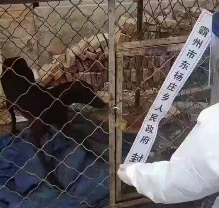 中国河北省廊坊市安次区要扑杀阳性患者的宠物，被网友骂爆。（图翻摄自微博）(photo:LTN)