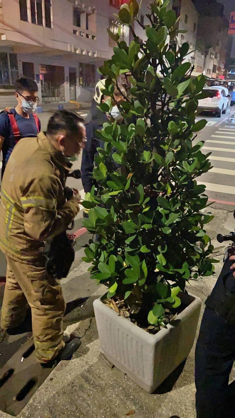 長知識啦！暗夜街頭飄嚇人瓦斯味  禍源竟是自已種的