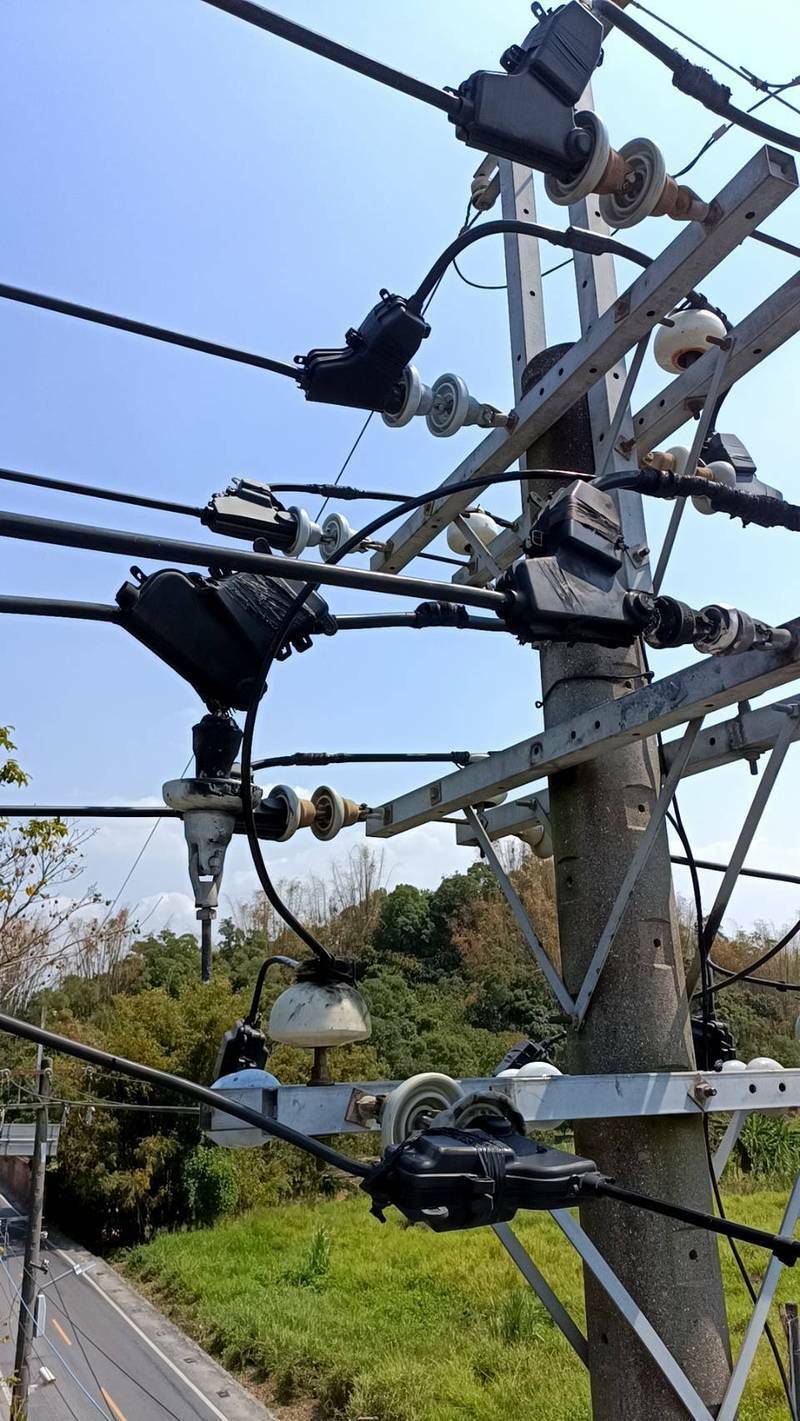 近月來，台電楠梓變電所的高壓線路發生多起小鳥誤觸帶電設備，造成礙子破裂停電的事故。（台電提供，資料照）