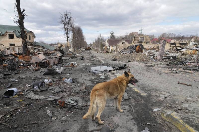 乌克兰首都基辅北方小镇布查（Bucha）在俄罗斯部队肆虐撤离后一片荒芜。（美联社）(photo:LTN)