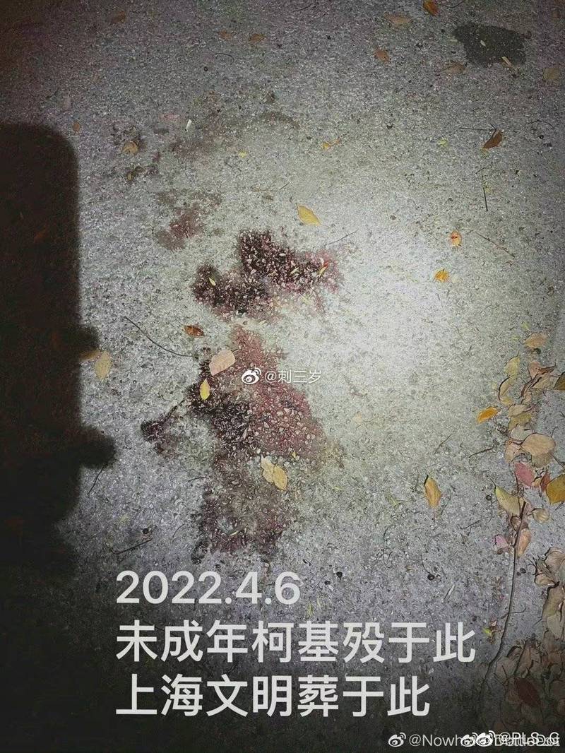有中国网友拍下当事柯基遇害现场的血迹，怒斥上海文明已死。（翻摄微博）(photo:LTN)