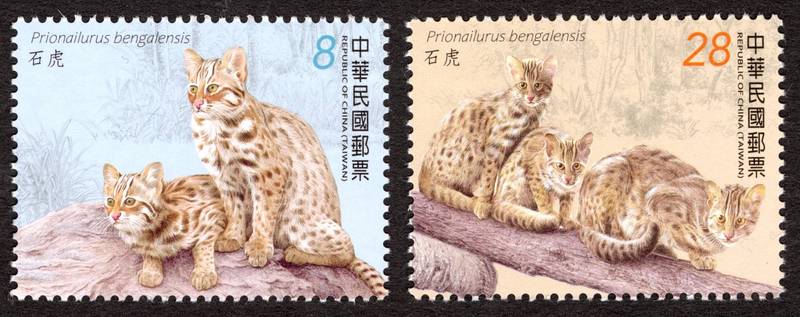 中華郵政公司以石虎為主題，4月13日發行新版郵票。（圖：中華郵政公司提供）