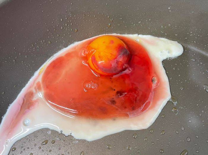 蛋殼敲開驚見「整顆血紅色」 照片曝光嚇壞網友 專家揭成因