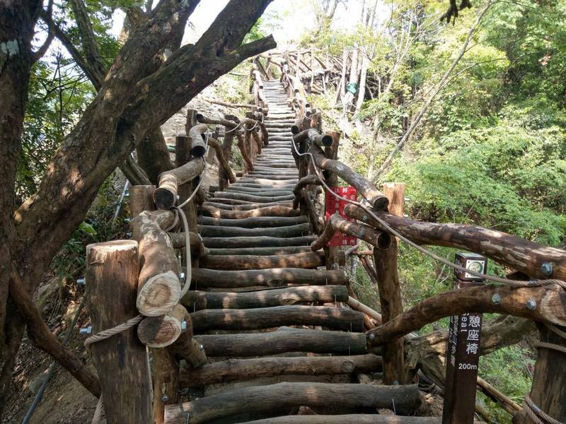 大坑三號步道0至600K改道完成。（觀旅局提供）