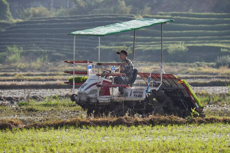 中国官媒批评在防疫中出现层层加码和「一刀切」现象，在春耕的关键时刻阻碍农业正常生产。示意图。（法新社档案照）(photo:LTN)