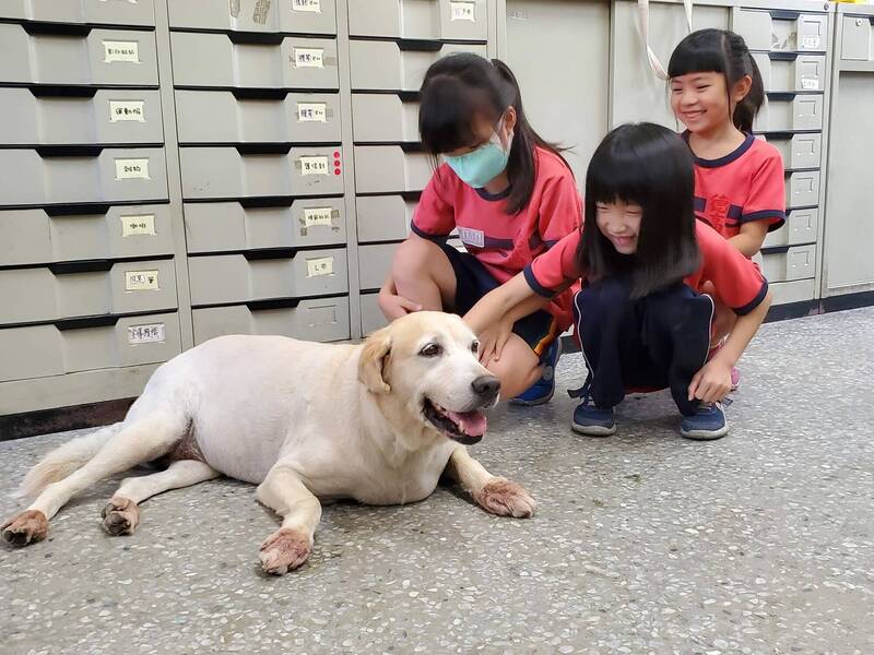 台南東區德高國小學生過去與校犬拉拉老師的歡樂合影。（德高國小提供）