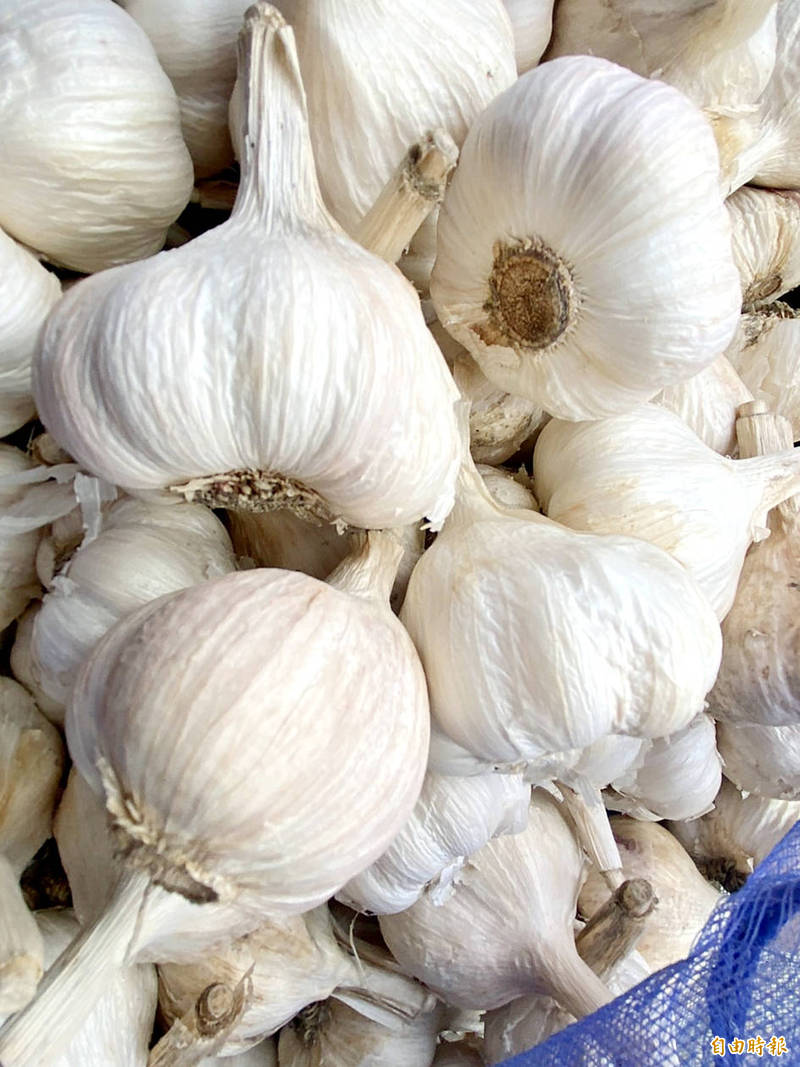 Heads of garlic are pictured in Yunlin County on May 24 last year.
Photo: Chan Shih-hung, Taipei Times