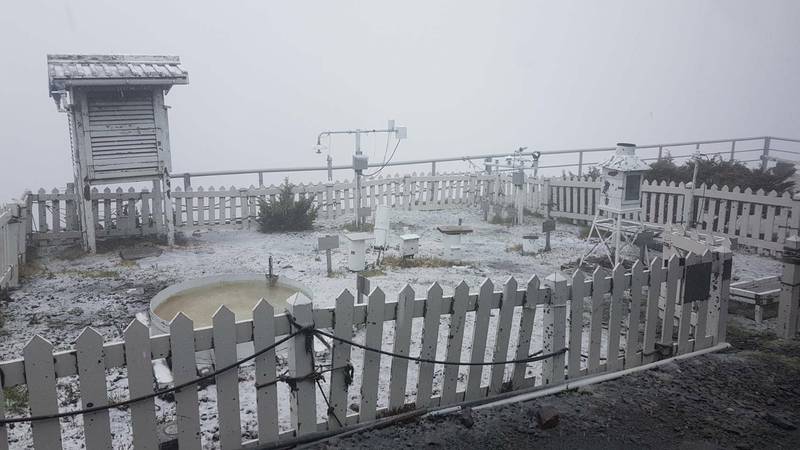 玉山氣象站今天（2日）下午1點半降下瑞雪。（中央氣象局提供）
