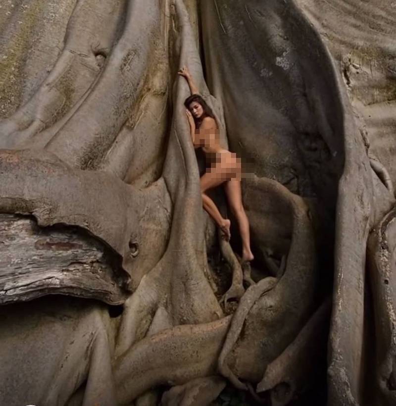 俄羅斯網紅法茲利瓦（Alina Fazleeva）全裸依靠在一棵擁有700年歷史的聖樹拍照。（圖翻攝自Instagram）