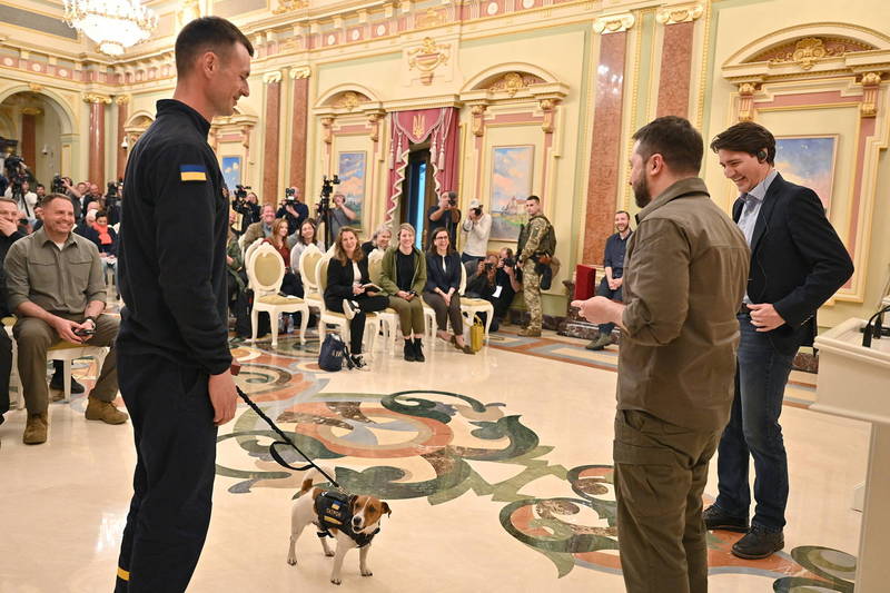 烏克蘭總統澤倫斯基（右2）在加拿大總理杜魯道（右1）的觀禮下，公開表揚掃雷神犬「派頓」。（路透）