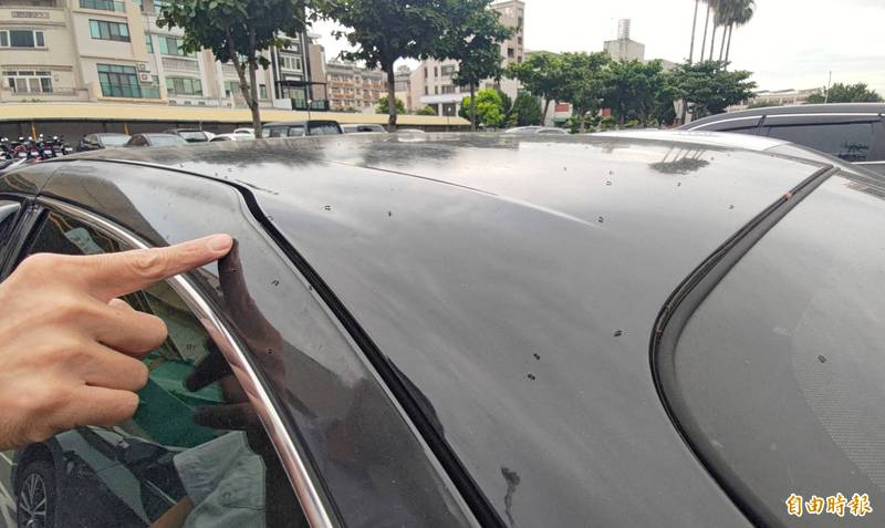 車主崩潰 車頂爬滿 又小又黑 奧客竟是疣胸琉璃蟻作亂 生活 自由時報電子報