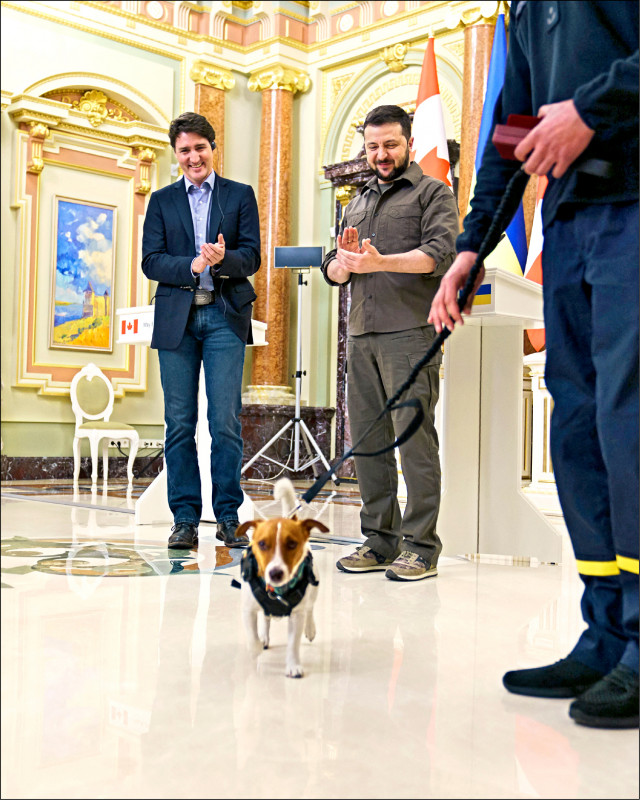 在來訪的加拿大總理杜魯道（左）見證下，烏克蘭總統澤倫斯基8日頒獎給2歲大的烏國知名掃雷犬「子彈」（Patron）和牠的飼主。（路透）
