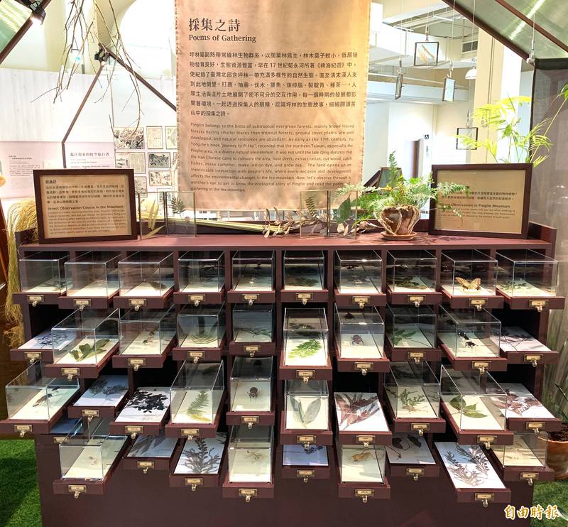 「茶山學」特展的「山神珍奇櫃」，將坪林豐沛的自然寶藏的小昆蟲們，收藏在多寶格中。（記者翁聿煌攝）