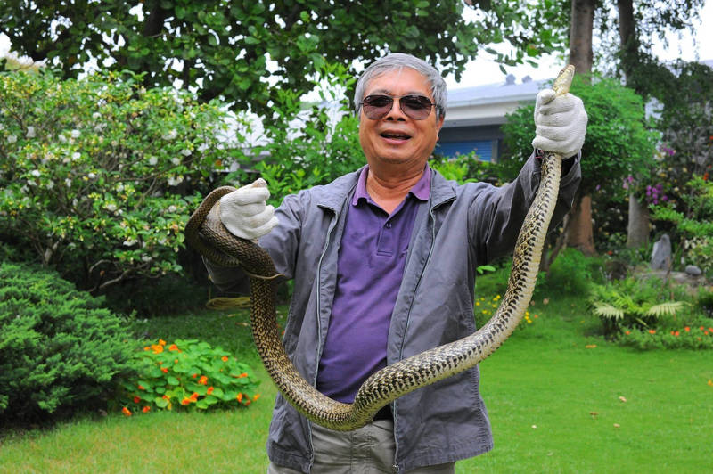 8年抓76條蛇，老校長親授抓蛇秘技。（照片由陳世雄提供）