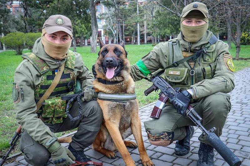 俄军从尼古拉耶夫（Mykolayiv）地区败退，撤离时将自家战犬遗弃在当地，被当地好心的乌克兰居民收留，现在成为乌克兰国民警卫队的第19军团的一员，并被命名为「Max」。（图撷取自@proudukraine推特）(photo:LTN)
