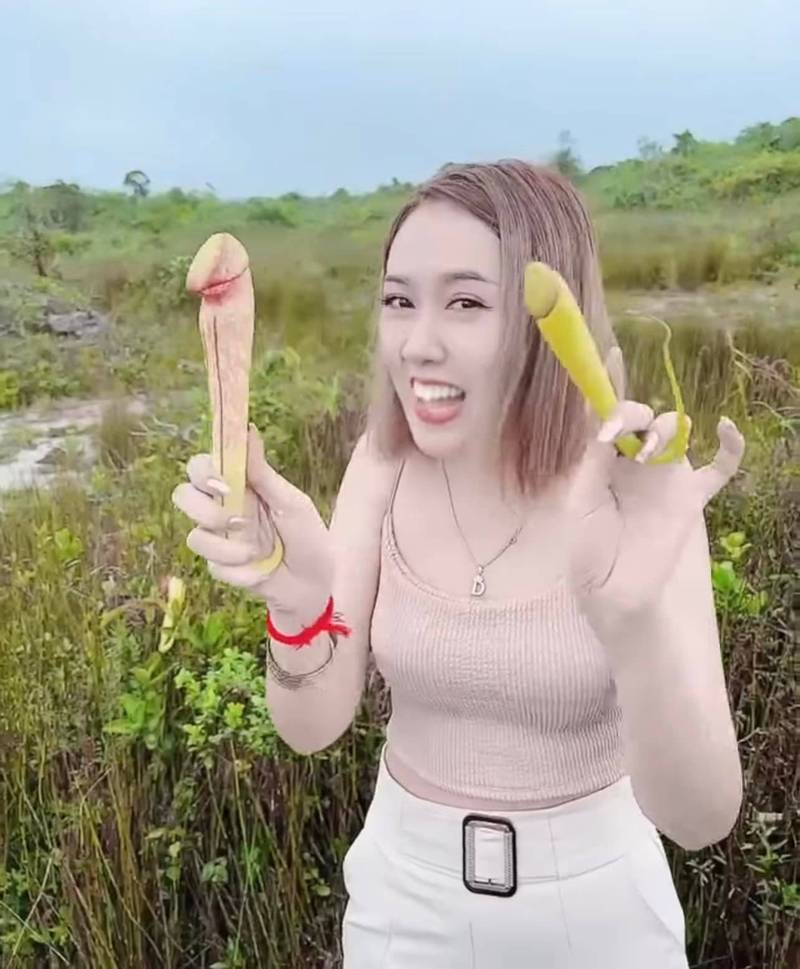 柬埔寨女子把玩外觀形似陰莖的「霍爾登豬籠草」，政府連忙出面呼籲民眾不要摘採。（圖擷自柬埔寨Ministry of Environment臉書）