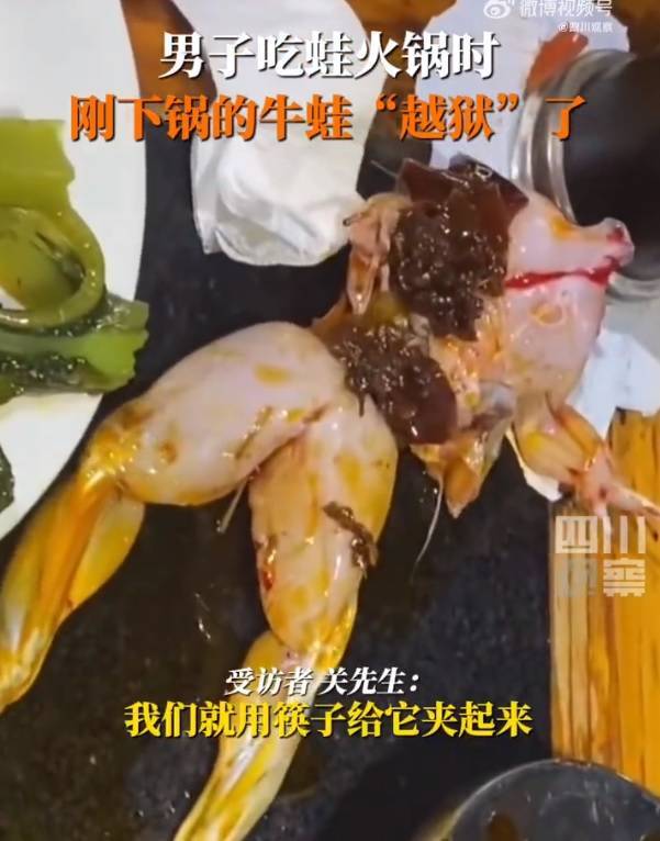 中國四川一名網友吃火鍋時食材牛蛙竟復活跳到桌面。（圖擷取自微博）