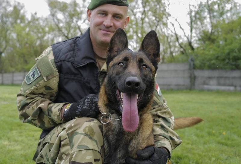 受虐犬羅根被救出後，加入匈牙利國防軍炸彈處理小組成為爆裂物嗅探犬。圖為訓練官尼梅斯（Balazs Nemeth）和羅根合照。（美聯社）