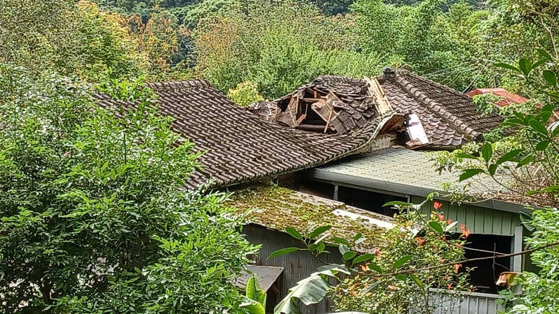 新竹縣歷史建築「舊內灣派出所」今天下午屋頂塌了一大塊。（竹縣府文化局提供）