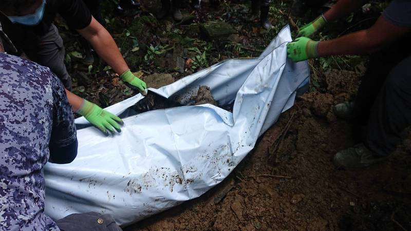 東卯山黑熊於5月9日遇難，林務局今公布黑熊疑受槍傷致死。（林務局提供）