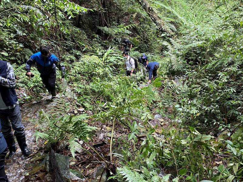 台中東卯山台灣黑熊野放至南投信義鄉丹大山區,日前卻遭槍殺埋屍在仁愛鄉法治村武界區域,檢警率隊前往獵徑勘驗。(記者劉濱銓翻攝) 台中東卯山台灣黑熊野放至南投信義鄉丹大山區,日前卻遭槍殺埋屍在仁愛鄉法治村武界區域,檢警率隊前往獵徑勘驗。(記者劉濱銓翻攝)