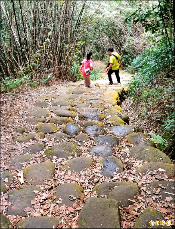 竹縣政府精選以動物名有關的12條健行步道，7月將推出登山集章活動，圖為湖口金獅古道。 （記者廖雪茹攝）