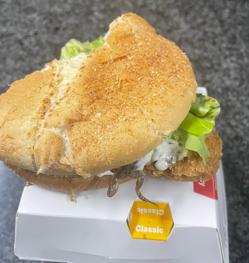 南非有名女童差點吃下夾有死青蛙的麥當勞漢堡，父親氣到PO網分享這份超噁漢堡。（圖翻攝自臉書Willem Bezuidenhout）

