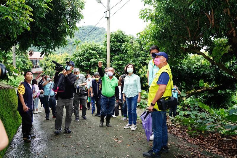 多雨影響荔枝及龍眼收成，農民反映只剩下2至3成，立委何欣純要求放寬災損認定。（何欣純提供）