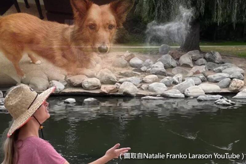 美國有名飼主將愛犬骨灰撒進池塘時，粉末在半空中清楚浮現愛犬的形狀。（圖擷取自Natalie Franko Larason YouTube；本報合成）
