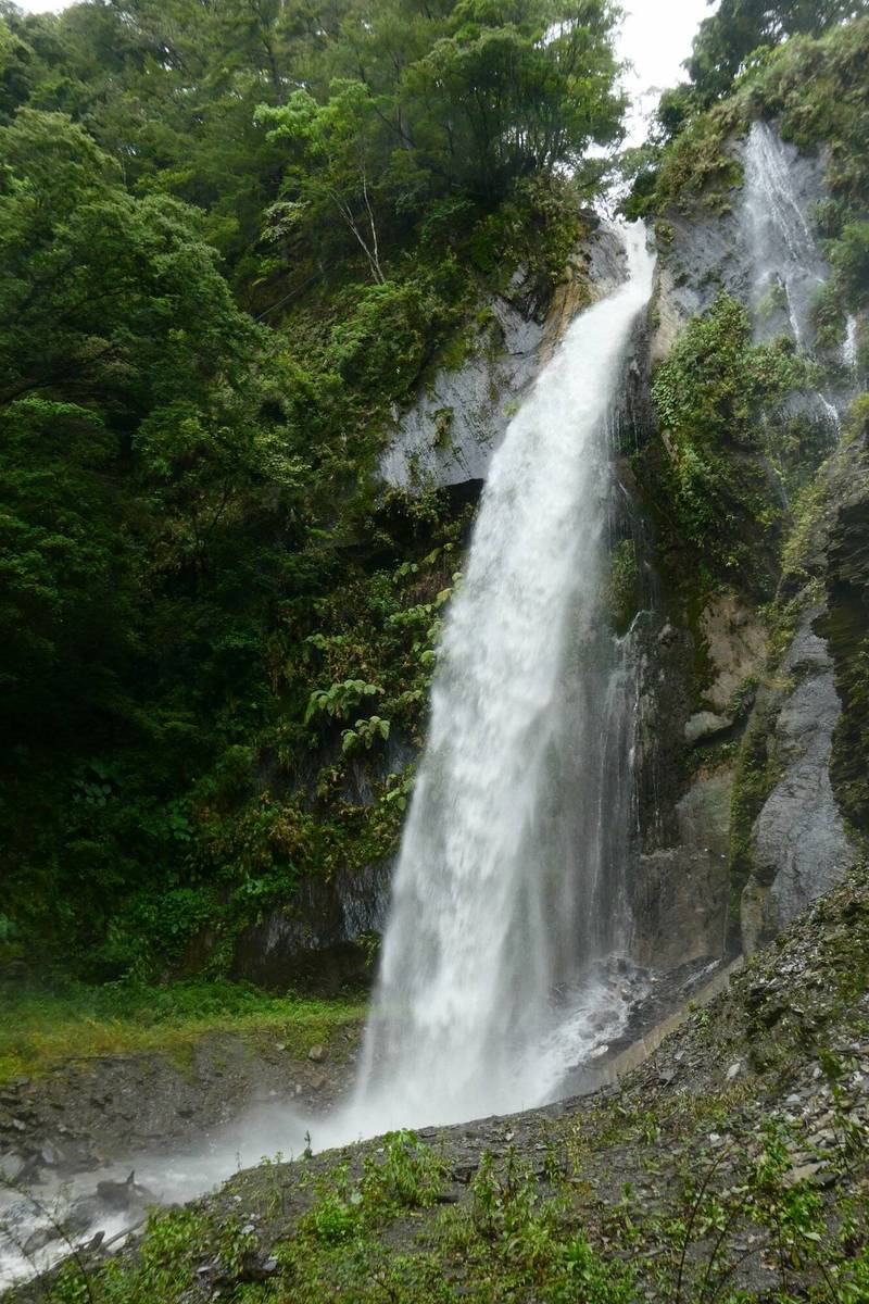 連續2波梅雨鋒面挹注，南投縣仁愛鄉奧萬大森林遊樂區的瀑布水勢大增，美景再現。（奧萬大森林遊樂區提供）