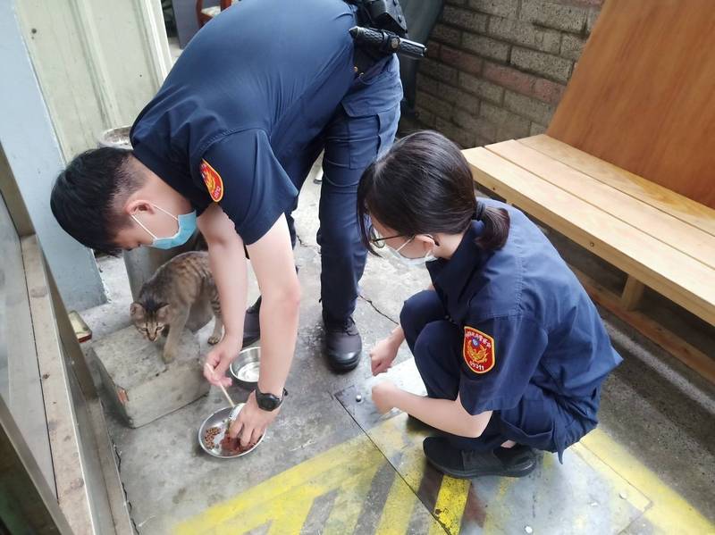 員警們悉心照顧小花貓「福飽」。（警方提供）