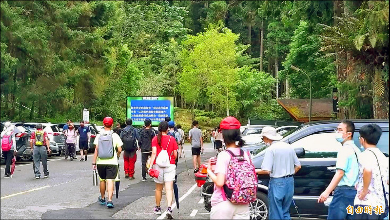 端午節連假首日，溪頭湧現登山健行人潮。（記者謝介裕攝）